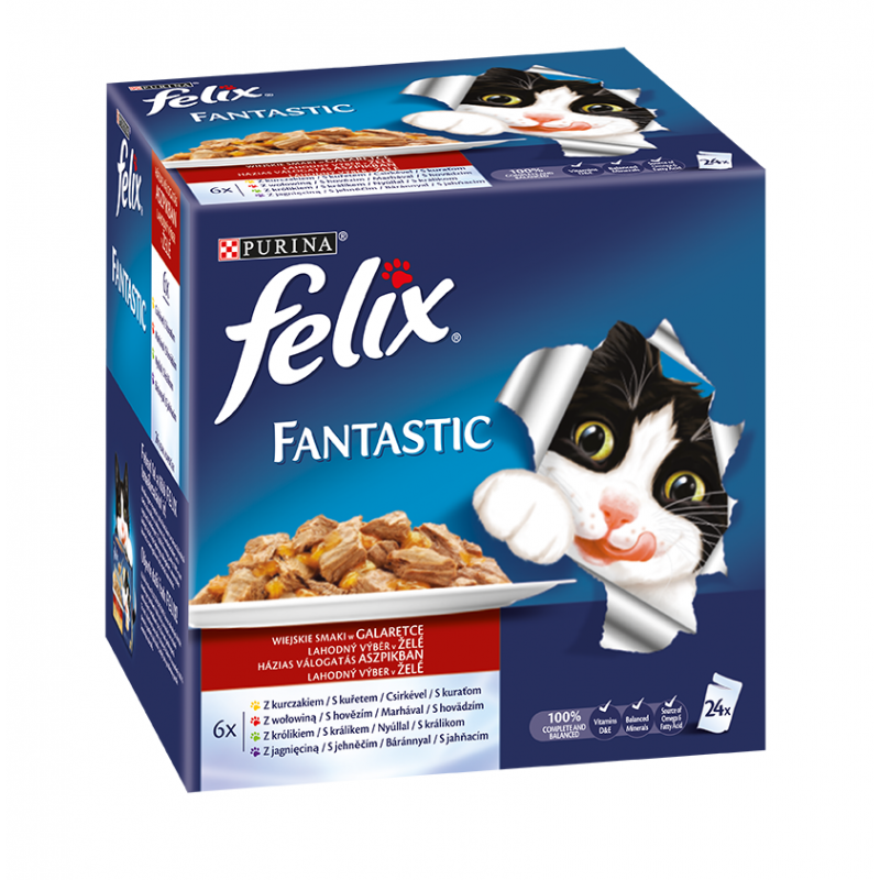 Felix Fantastic 4 (24X100G) Pl