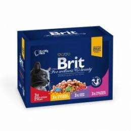 Brit Pouches Family Plate 12X100G