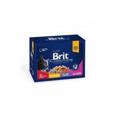 Brit Pouches Family Plate 12X100G