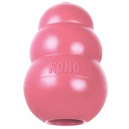 Kong Puppy Small 7Cm Kp3E