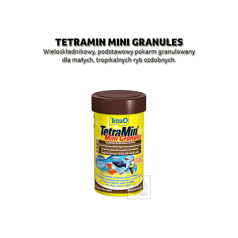 Tetra Tetramin Mini Granules 100 Ml [T199057]