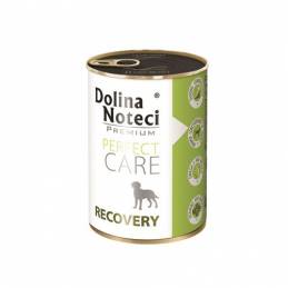 Dolina Noteci Pc Recovery 400G