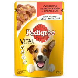 Pedigree Adult Wołowina, Drób 500G + Dentastix 77G I Saszetka 100 G  Gratis [181127]