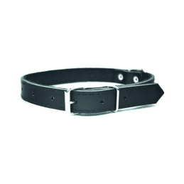 Chaba Obroża Skórzana - 12-35Cm Czarna
