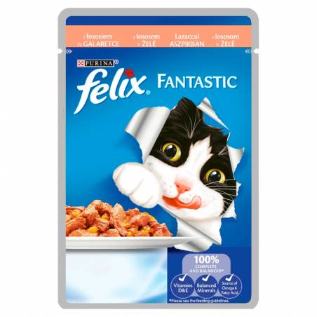 Felix Fantastic Łosoś 85G