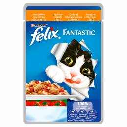 Felix Fantastic Kurczak I Pomidor 85G