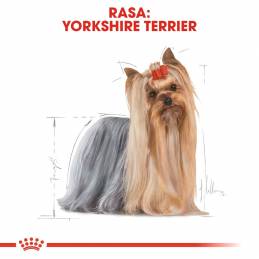 Royal Canin Bhn Yorkshire Terrier Adult - Sucha Karma Dla Psa Dorosłego - 1,5 Kg