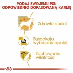 Royal Canin Bhn Yorkshire Terrier Adult - Sucha Karma Dla Psa Dorosłego - 1,5 Kg