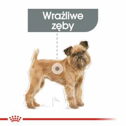 Royal Canin Ccn Mini Dental Care - Sucha Karma Dla Dorosłych Psów - 3 Kg