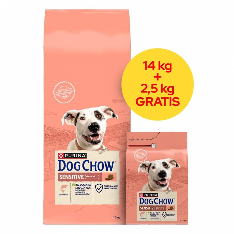 Purina Dog Chow Sensitive Łosoś 14+2,5Kg