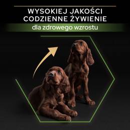 Purina Pro Plan Puppy Large Athletic - Sucha Karma Dla Szczeniąt - 12 Kg