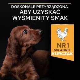 Purina Pro Plan Puppy Large Athletic - Sucha Karma Dla Szczeniąt - 12 Kg