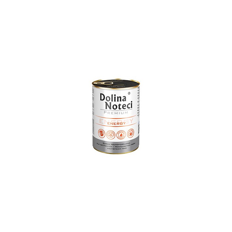 Dolina Noteci Energy 400G