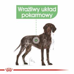 Royal Canin Ccn Maxi Digestive Care - Sucha Karma Dla Psa Dorosłego - 3Kg (Wyprzedaż)