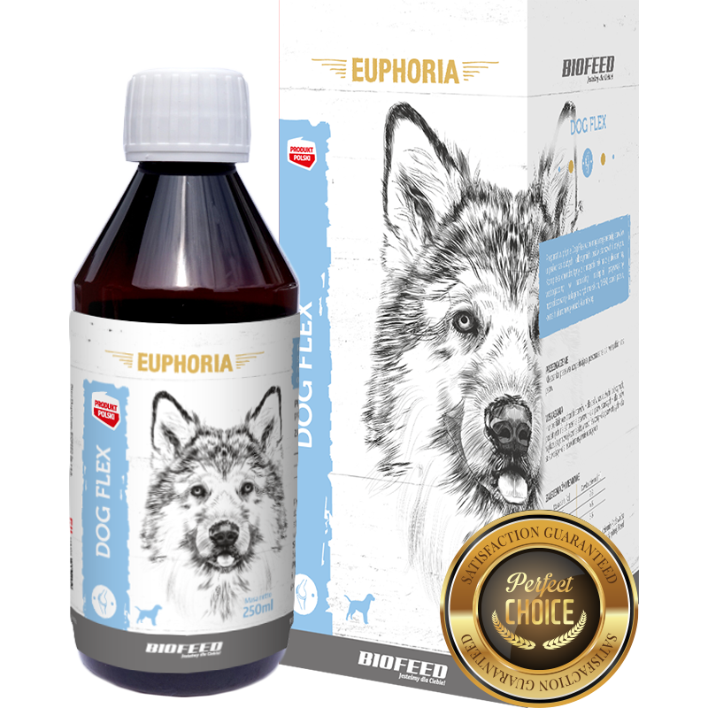 Biofeed Euphoria Dog Flex Preparat Na Stawy Dla Psa 250Ml