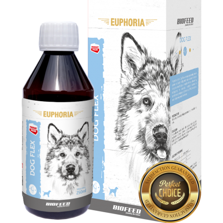 Biofeed Euphoria Dog Flex Preparat Na Stawy Dla Psa 250Ml