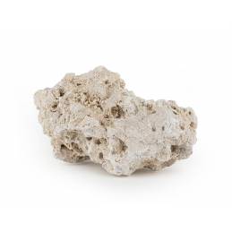 Skała Reef Rock L 20-25 Cm 1 Kg