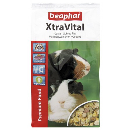 Beaphar Xtravital Guinea Pig Karma Dla Świnek Morskich 1Kg