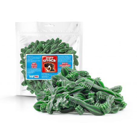 Gm06 Dental Szczoteczka Mint 500G